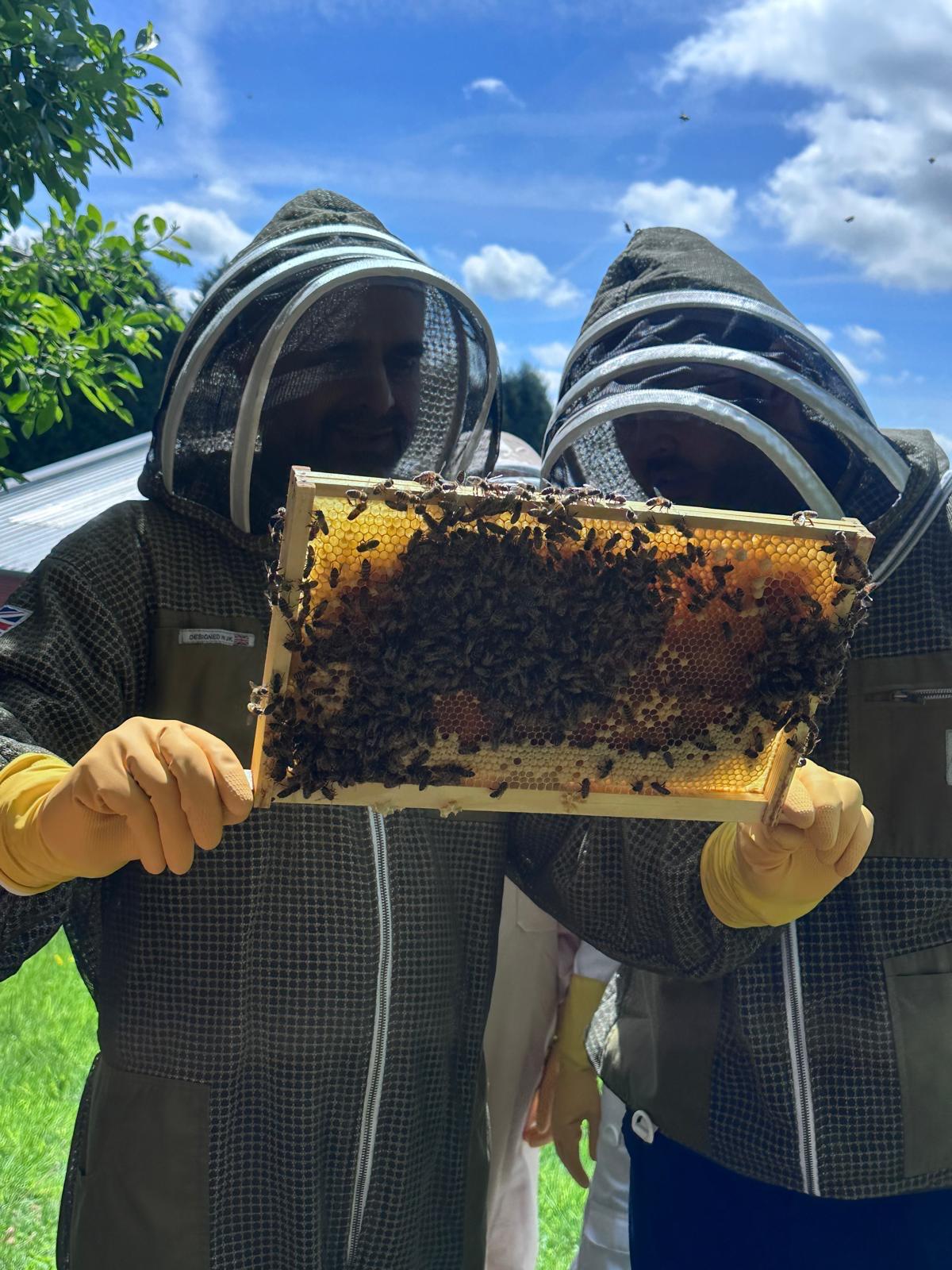 Beekeeping experience day