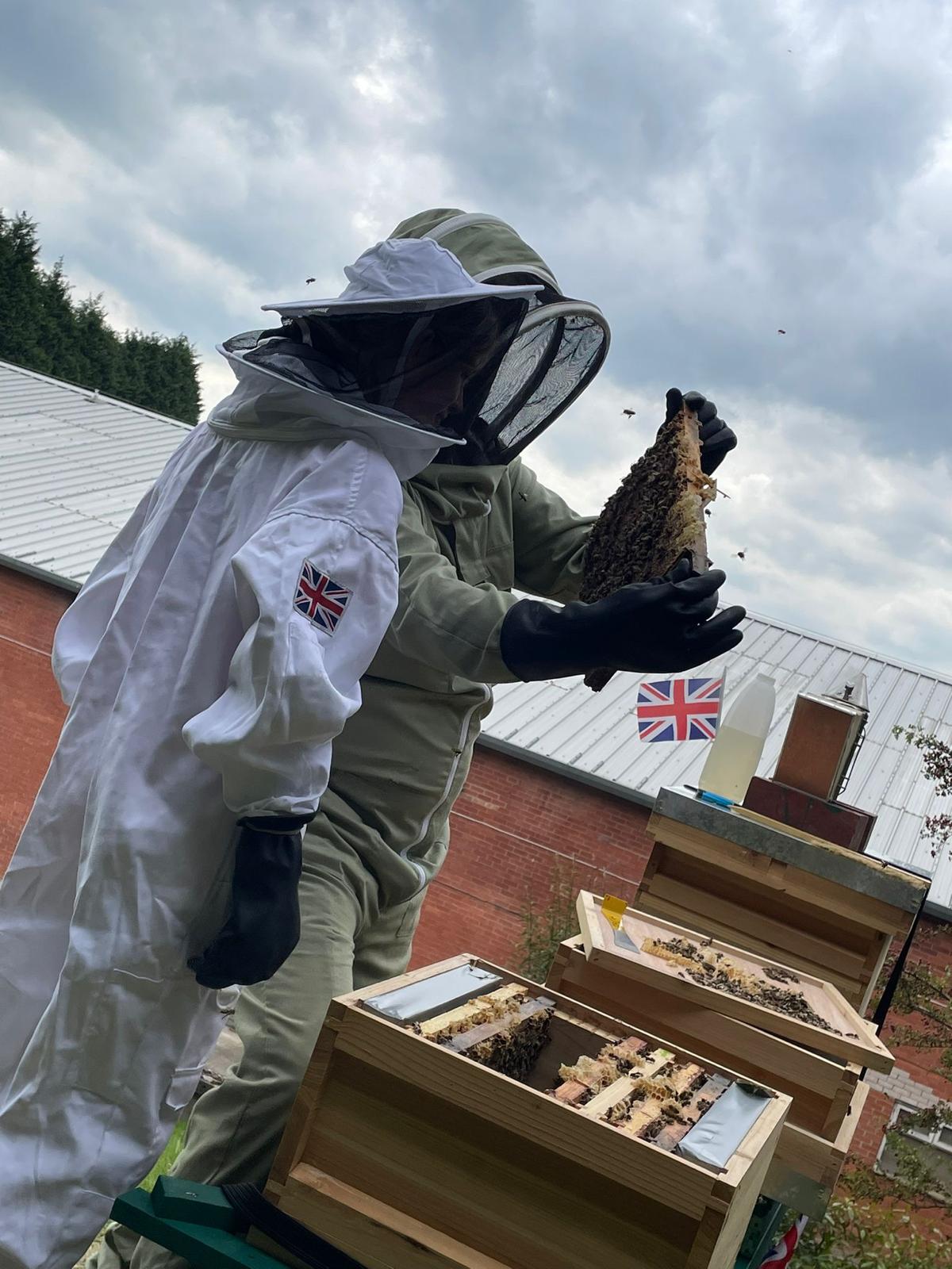 Hive inspection