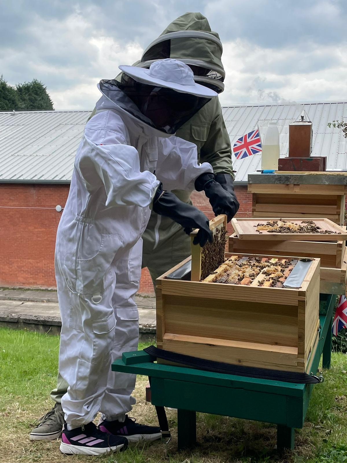 Hive inspection